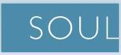 soul integrated solutions logo